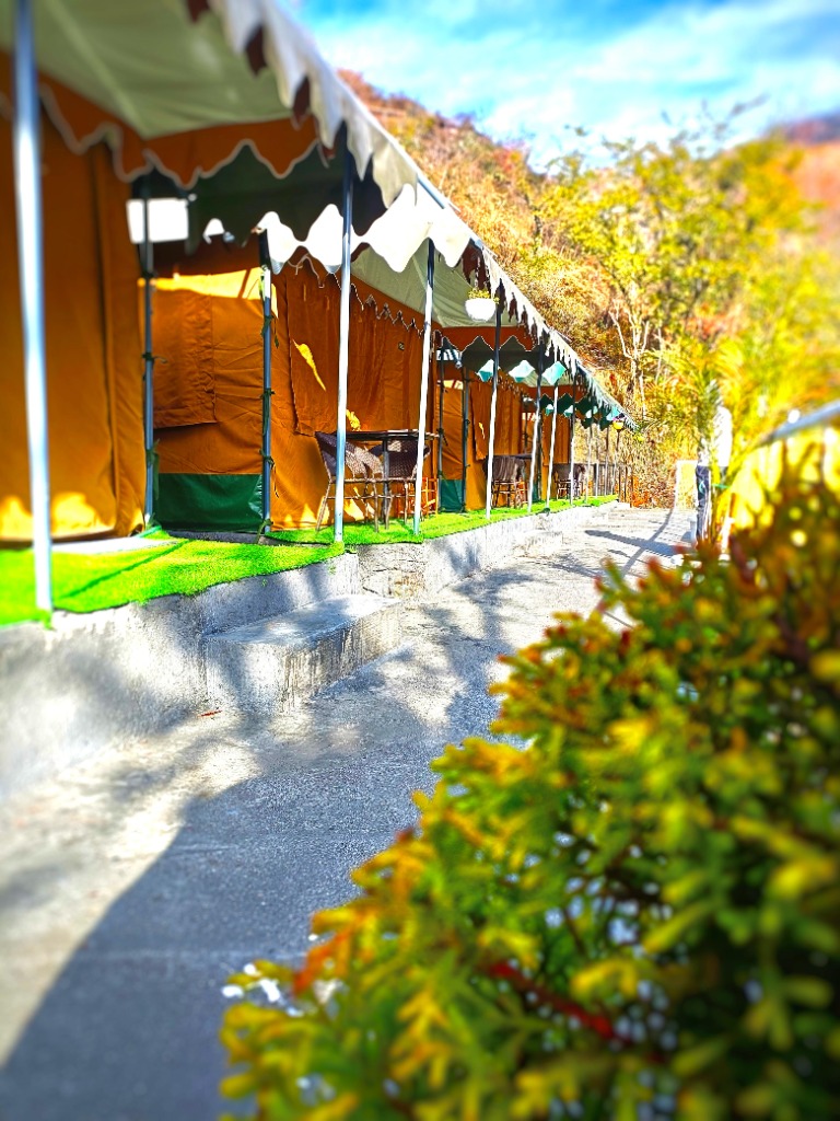 Deoban (God's Own Forest)